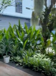 Sunrise Avenue (D28), Terrace #498232031